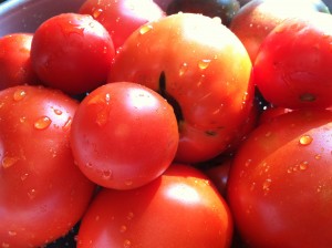August Tomatoes